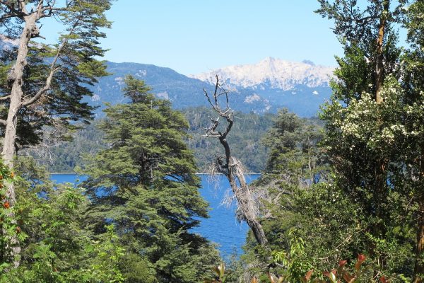 Terreno plano con vista al lago Nahuel Huapi