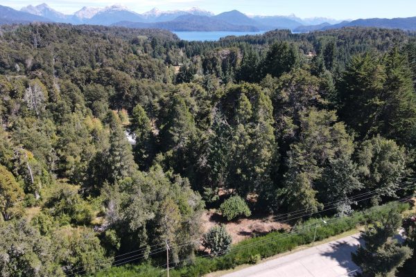 Propiedades Recientes