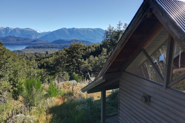 Propiedades Recientes