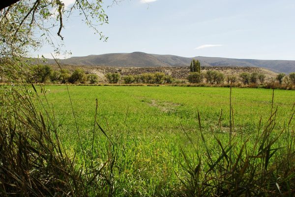 Campo en Localidad Comallo - Rio Negro