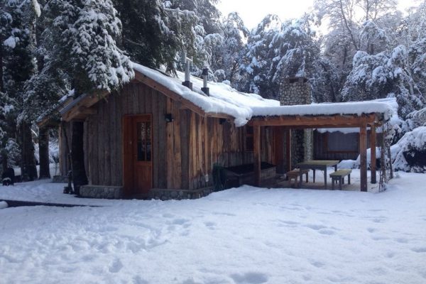 Propiedades Recientes