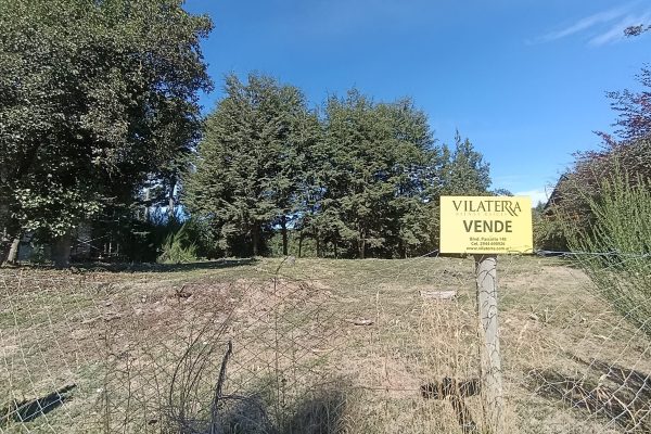 Propiedades Recientes