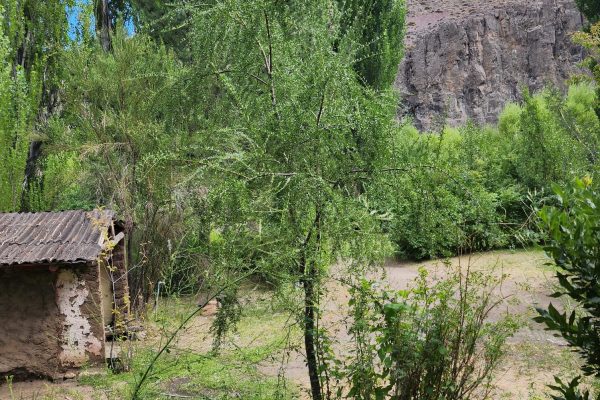 VENTA Casa en Villa Llanquin con terreno de 4452m2